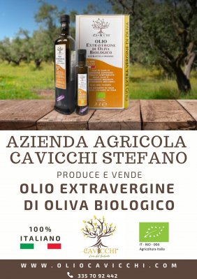 FARM CAVICCHI STEFANO